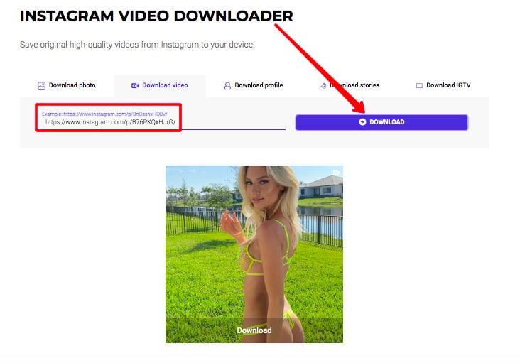 ig link video downloader